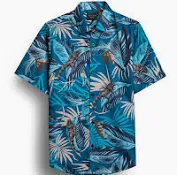 Casual Blue Shirt
